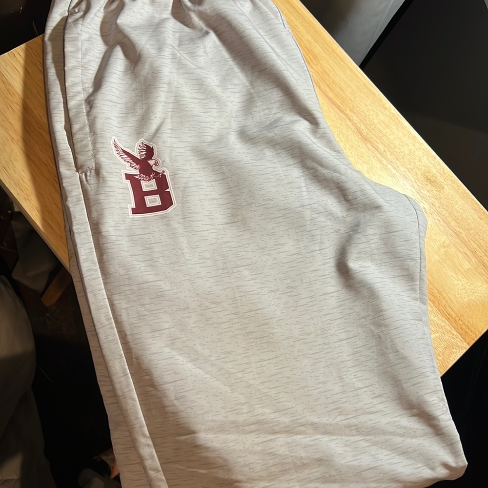 Gray Flying Eagles tracksuit type pants size medium, worn a once.